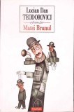 Matei Brunul - Lucian Dan Teodorovici, Polirom, 2011, Roman, Beletristica