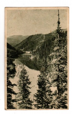 LACUL ROSU RPR LIBRARIA NOASTRA foto