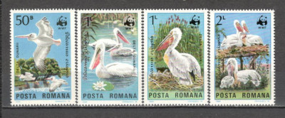 Romania.1984 Protejarea naturii-Pasari din DeIta Dunarii DR.467 foto