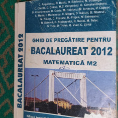 MATEMATICA M2 GHID DE PREGATIRE PENTRU BACALAUREAT 50 DE MODELE DE TESTE STANICA