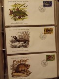 FAUNA WWF - 3 PLICURI PRIMA ZI