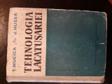 Cumpara ieftin Tehnologia lacatuseriei - T. Mucica