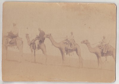 bnk foto Caravana de camile in desert - Pascal Sebah cca 1880 foto