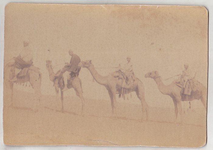 bnk foto Caravana de camile in desert - Pascal Sebah cca 1880