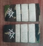 C3 - Grade militare - mozaic padure - plutonier major vanatori munte