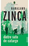 Dintre sute de catarge - Haralamb Zinca - Publisol