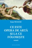 Ce este opera de arta si la ce foloseste, Brosata
