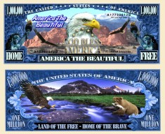 !!! SUA = FANTASY NOTE (TJ6) = AMERICA THE BEAUTIFUL - 2011 - UNC