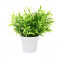 Planta Artificiala Decorativa, H 24 cm, cu frunze Ascutite verde deschis, in ghiveci de plastic alb, 8.5x9cm