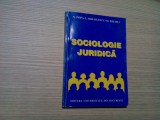 SOCIOLOGIE JURIDICA - N. Popa, I. Mihailescu, M. Eremia - 2000, 124 p., Alta editura