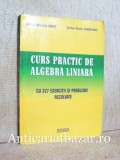 Curs practic de algebra liniara cu 327 exercitii si probleme rezolvate - Rodica-Mihaela Danet