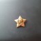 Insigna -U.R.S.S.-Lenin -