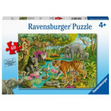 PUZZLE PADURE IN INDIA, 60 PIESE, Ravensburger