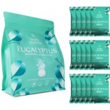 Body Restore Eucalyptus &amp; Mint Shower Steamers tablete pentru duș 15 buc