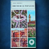 Cumpara ieftin DRUMURI SI POPASURI - ADINA ARSENESCU