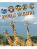 Cumpara ieftin Animale salbatice. Ciudatenii, mistere si curiozitati/***