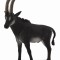 Figurina mascul antilopa sable gigant l collecta
