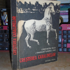CONSTANTIN VELEA - CRESTEREA CABALINELOR , 1980