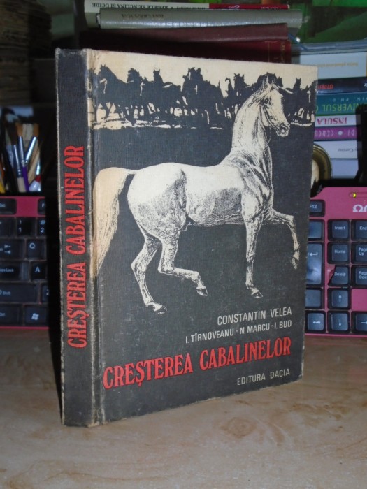 CONSTANTIN VELEA - CRESTEREA CABALINELOR , 1980