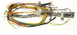 Set de cabluri electrice pentru uscator de rufe Arctic DAPLH842PB 2981531300., Beko