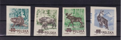 POLONIA FAUNA NEDANTELATA SERIE MNH foto