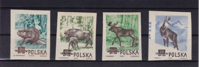 POLONIA FAUNA NEDANTELATA SERIE MNH