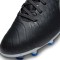 icon 5