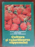 Cultura si valorificarea capsunului-lena Maria Ceausescu, Raul Vieru