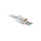Delight - Fisa modulara ?Pass Through? - 8P8C - CAT5e, RJ45