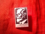 Insigna URSS - Personalitati - IP Pavlov , metal si email , h=2,4cm