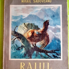 F24- I-M. Sadoveanu- Raiul 1955 Ilustratii St. Constantinescu.