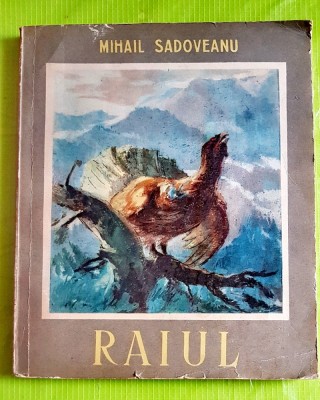F24- I-M. Sadoveanu- Raiul 1955 Ilustratii St. Constantinescu. foto