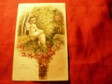 Ilustrata - Litografie - Femeie Fluturas - Doux Souvenir , cca.1900