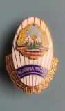 Insignă Absolvent Academie Militară RSR &ndash; Colecție Militaria