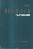 Carte Morfologia Plantelor I. Ciobanu - Editura Didactica Si Pedagogica, 1971, 16 X 24 cm, Cartonate, Romana