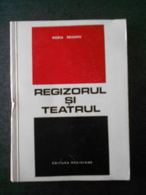 HORIA DELEANU - REGIZORUL SI TEATRUL foto