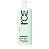 Natura Siberica ICE Professional Refresh My Scalp șampon detoxifiant pentru curățare 1000 ml