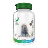 Strugurii Ursului 60 capsule Medica, Medica Farmimpex