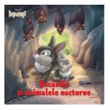 Disney Iepurasi. Bocanila si animalele nocturne - Disney