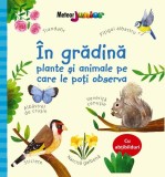 &Icirc;n grădină &ndash; plante și animale pe care le poți observa - Paperback brosat - Meteor Press