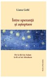 Speranta si Asteptare: Liana Gehl - Paperback brosat, Abordare transdisciplinara, Ratio et Revelatio