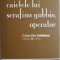 Caietele lui Serafino Gubbio, operator &ndash; Luigi Pirandello
