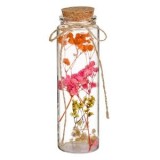 Sticla Decorativă cu Flori Uscate &ndash; Detalii și Estetică Naturală, CMCLASS