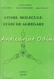 Atomi. Molecule. Stari De Agregare - Servilia Oancea, Nicolae Foca