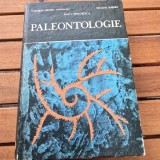 Paleontologie - Elisabeta Nistor-Hanganu, Dan I. Grigorescu si Nicolae Suraru