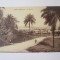 Carte postala Camerun-Duala/Douala:piata,necirculata cca.1910
