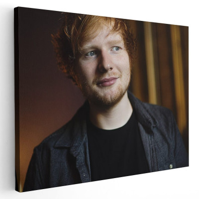 Tablou afis Ed Sheeran cantaret 2286 Tablou canvas pe panza CU RAMA 70x100 cm foto