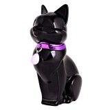 Apa de Parfum Femei Accentra Gattina Black, 75ml: Cafea, Migdale, Iris, Iasomie - Aroma Dulce, Sticla Eleganta