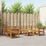 vidaXL Set de canapele de exterior 10 pcs natural Lemn Solid de Acacia 3367022