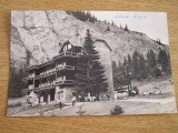 QW24 L - Carte postala - tematica turism - vedere - Lacul Rosu 3, Necirculata, Fotografie, Harghita